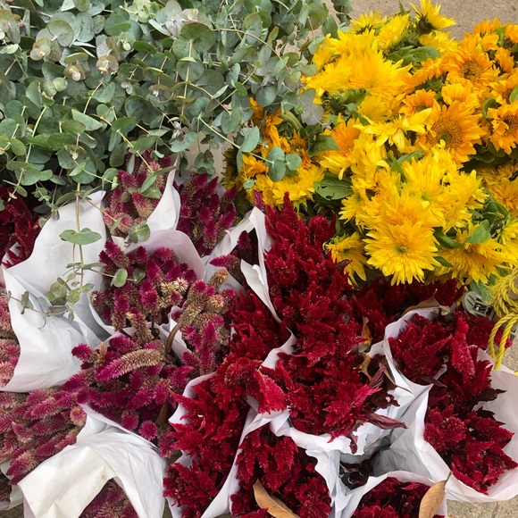 Meet your Posher, Hannah - Picture 1 of 1